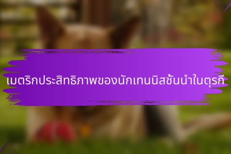 เมตริกประสิทธิภาพของนักเทนนิสชั้นนำในตุรกี